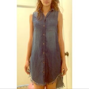 Chambray Appraisal Dress